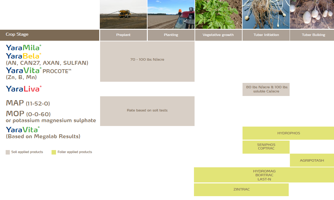Plan de fertilisation du plant de pomme de terre