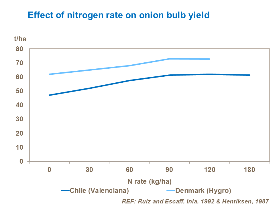 Effect of nitrogen rate on onion bulb yield