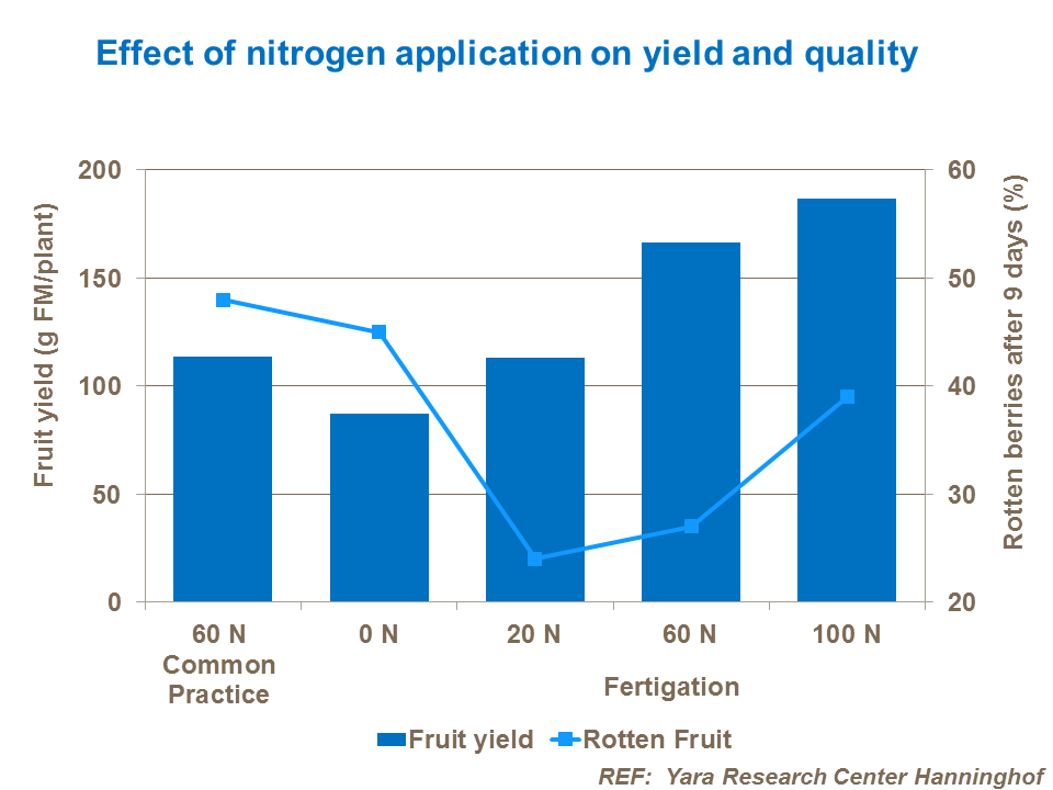 Effect of nitrogen application on yield and quality