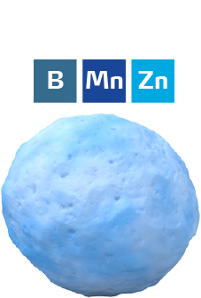 yaravita-procote-prill-w-element-bmz.jpg