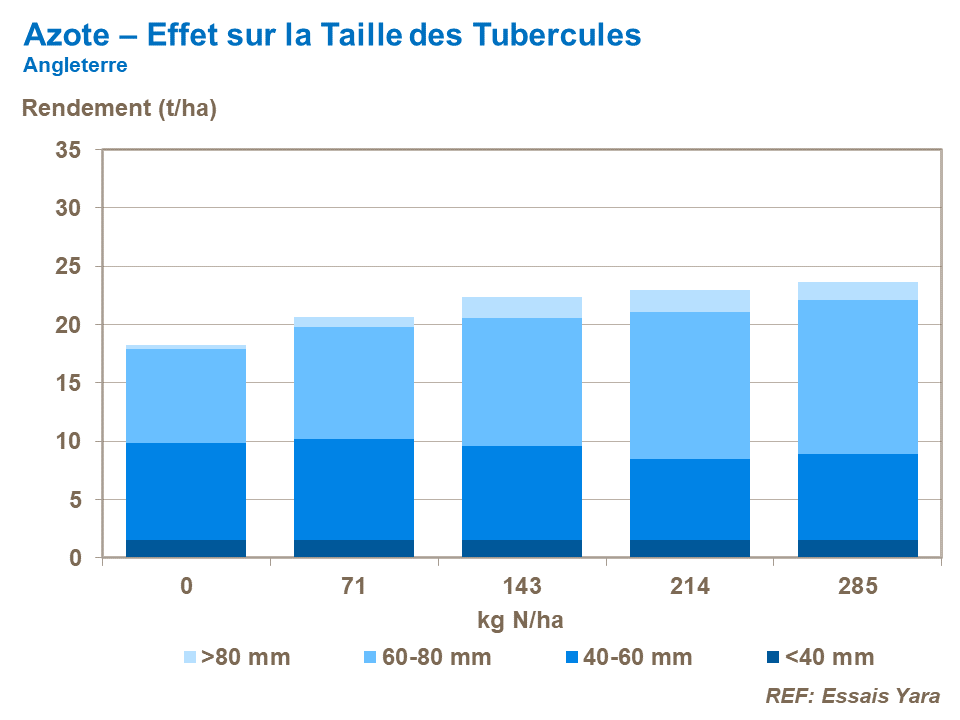 nitrogen effect on tuber size.png