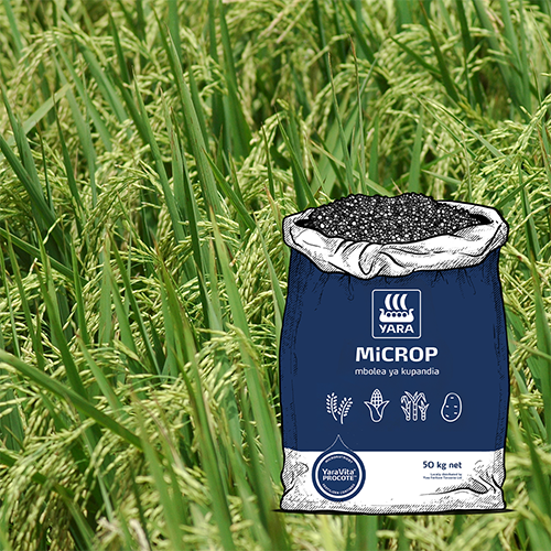 MiCROP Mbolea ya Kupandia