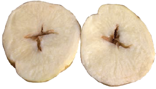 Potato cracking