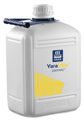 Zintrac.jpg