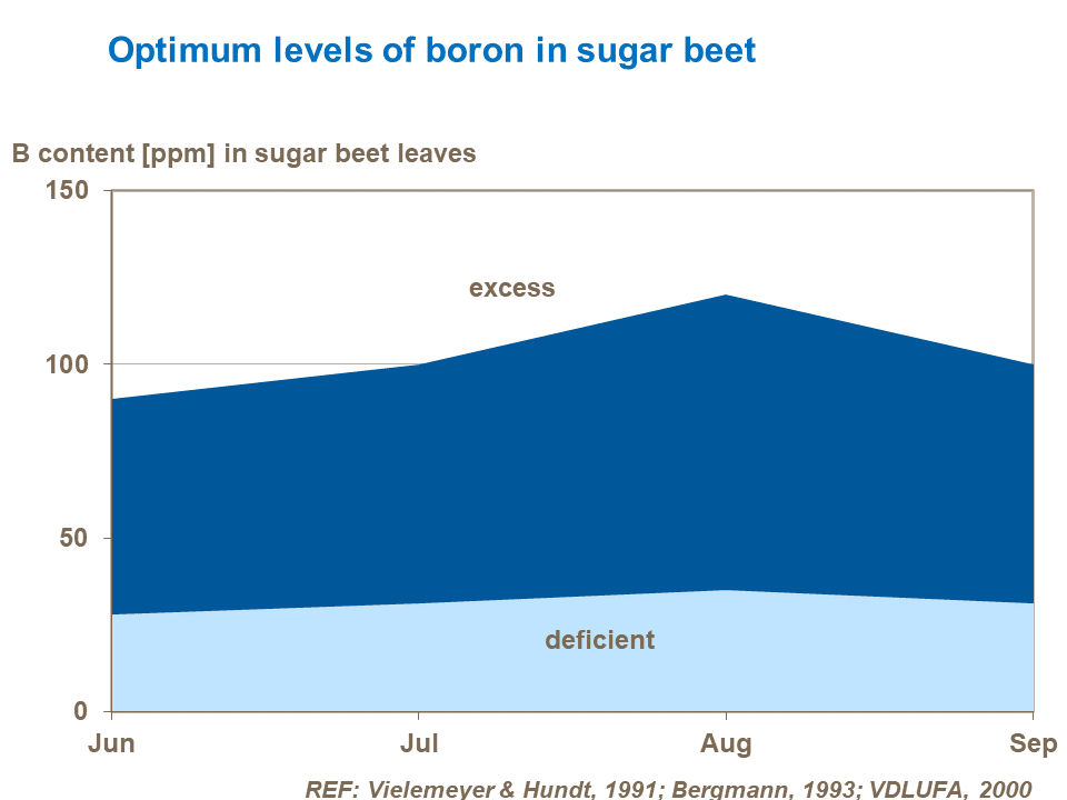 Optimum levels of boron in sugar beet